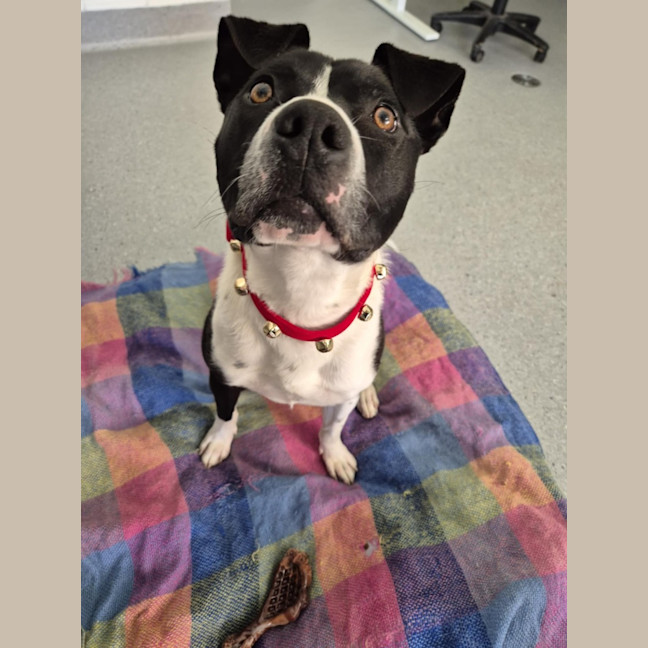 Photo of Kenny! 🤍🖤