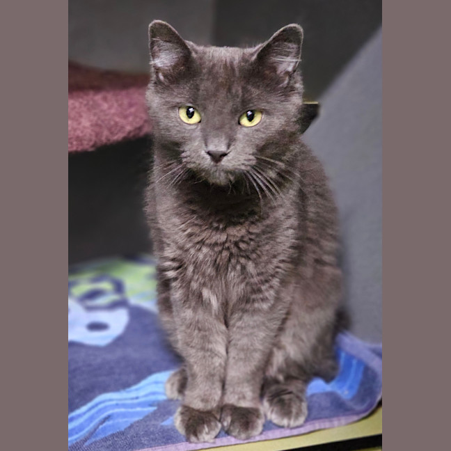 Photo of Lunchbox