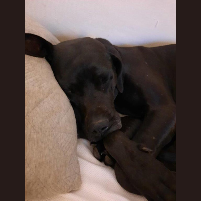 Photo of Stella Lozano