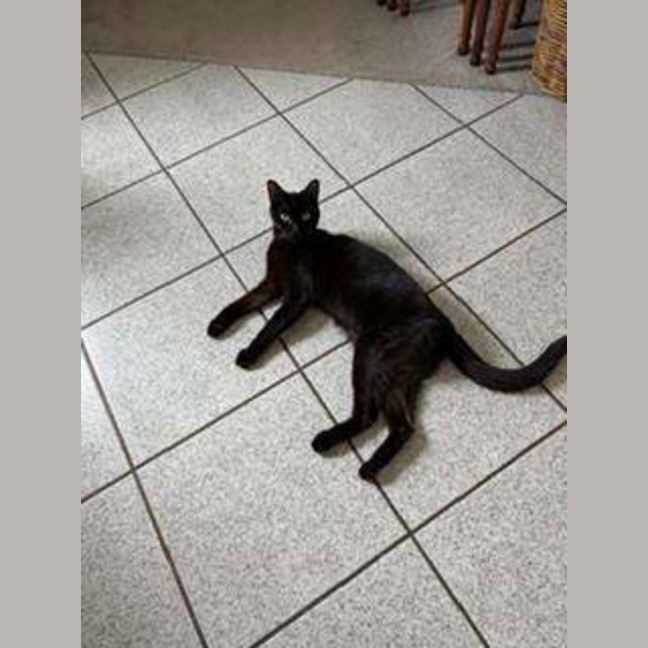 Photo of Penny