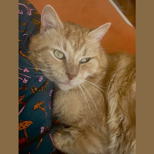 Photo of Thomas