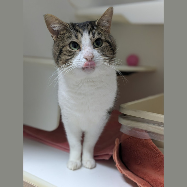 Photo of 🎣 Rafferty 6254 🎣