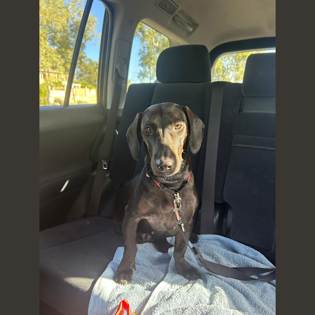 Photo of Roxy