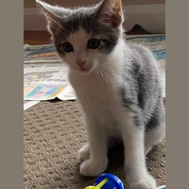 Photo of Dopey
