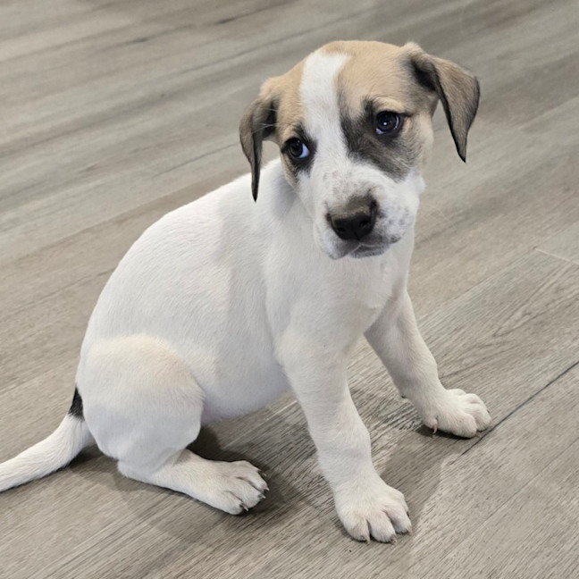 Photo of Lumpy Space Princess