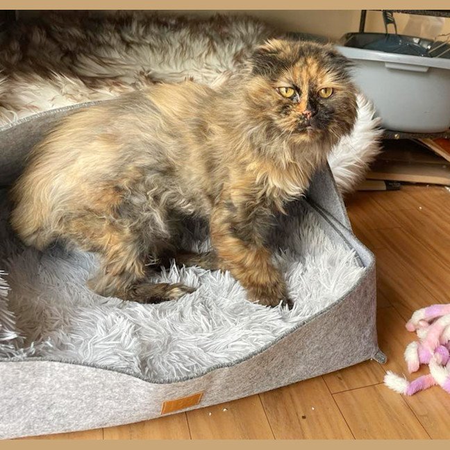 Photo of 🎭Villanelle🎭