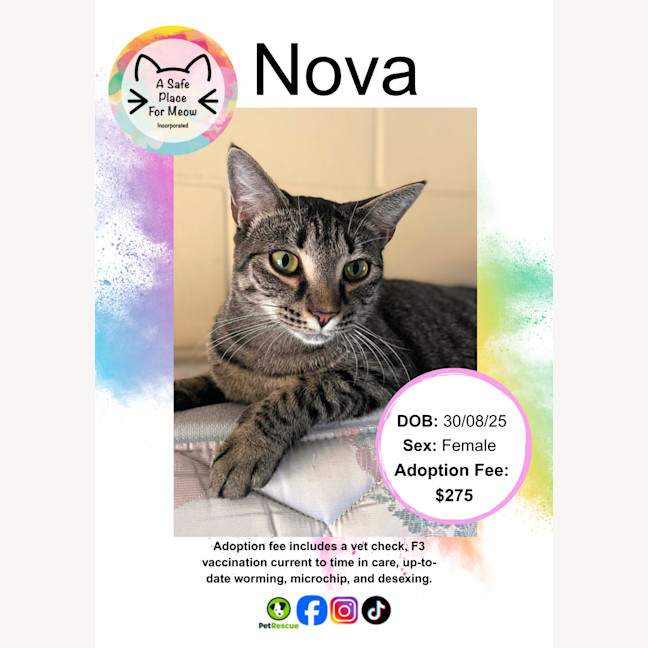 Photo of Nova