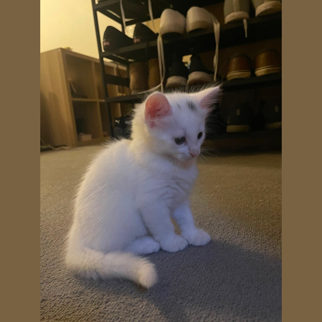 Photo of Minnie