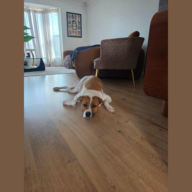 Photo of Flint