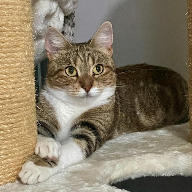 Photo of Princess Lilibet