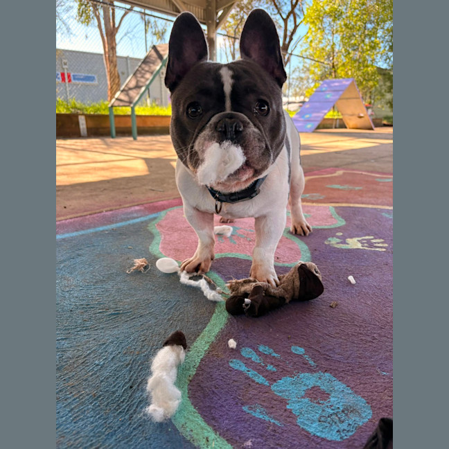 Photo of Albert