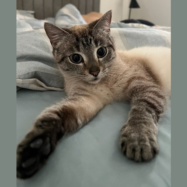 Photo of Aurora