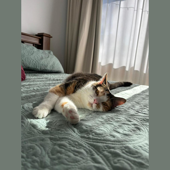 Photo of Zoe