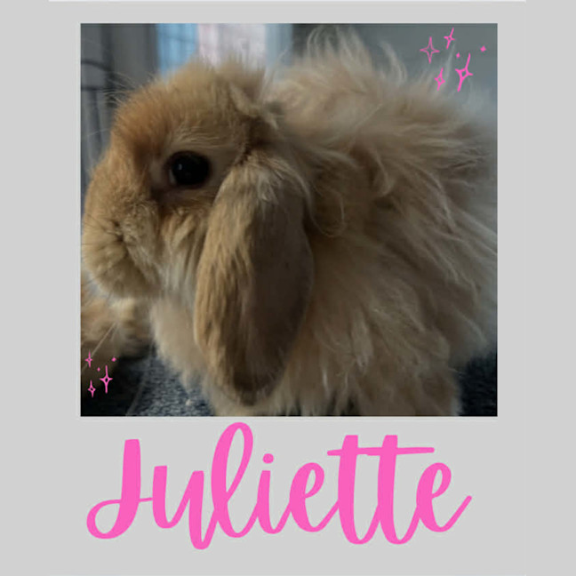 Photo of Juliette