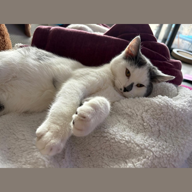 Photo of Victor