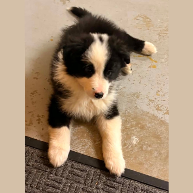 Photo of Kylo