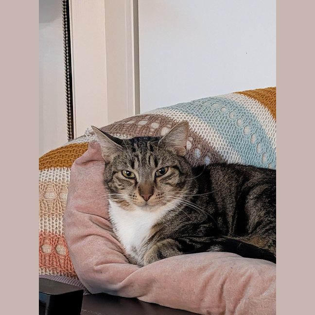 Photo of Bidey