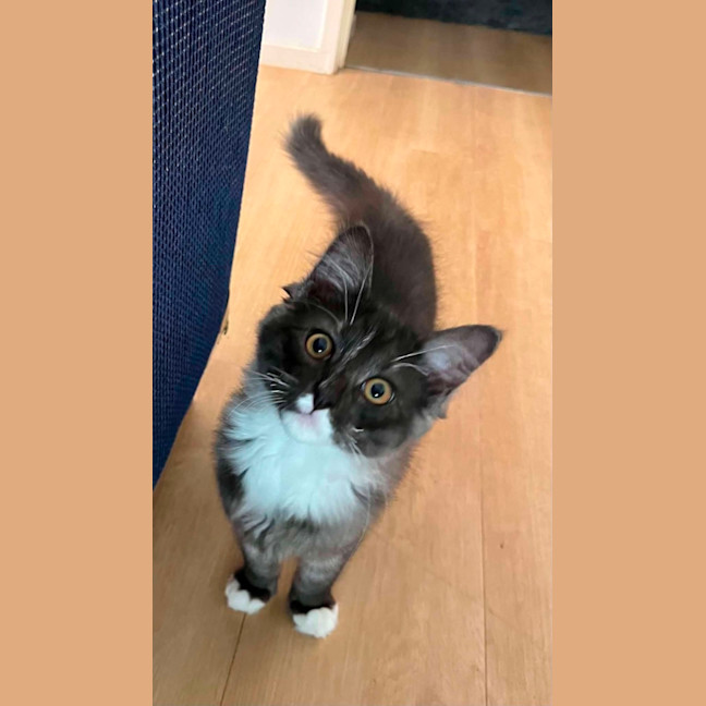 Photo of Zeek 