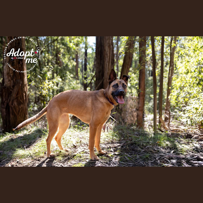 Photo of Lilly