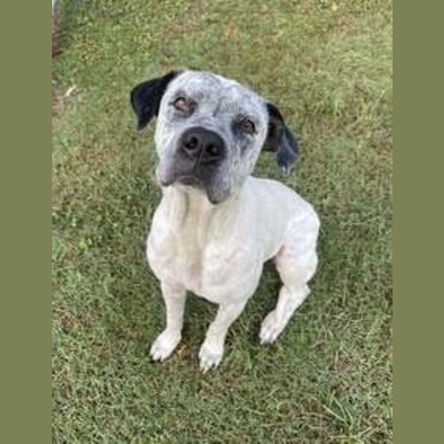 Photo of Ghost
