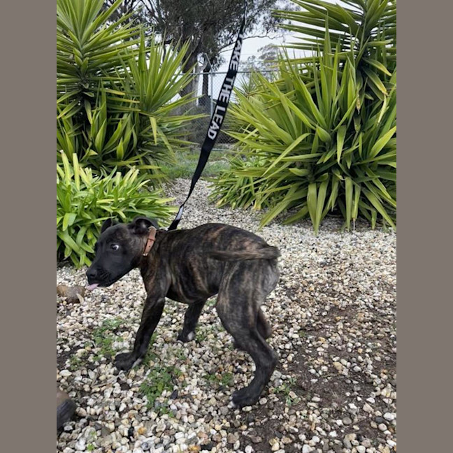 Photo of Long Walk On The Beach