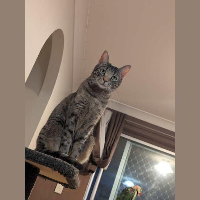 Photo of Penelope 