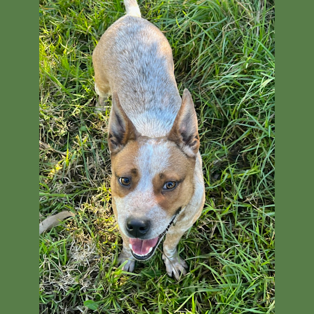 Photo of Mookie