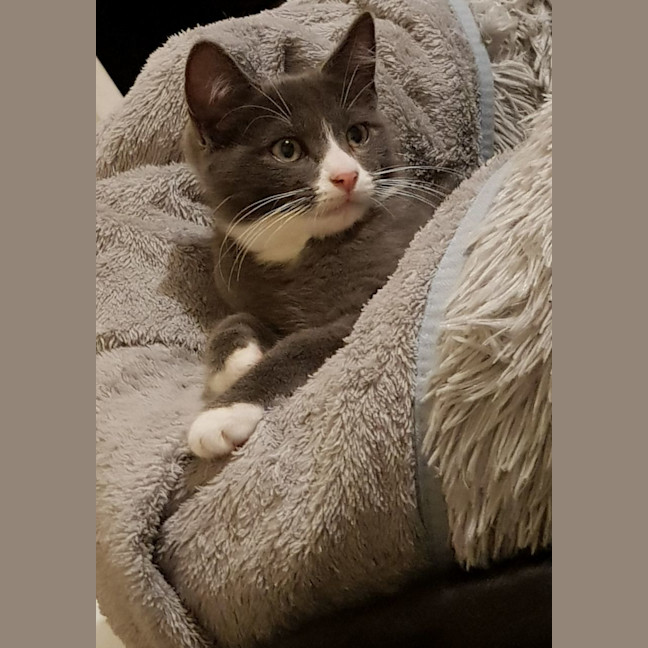 Photo of Lamech 💙