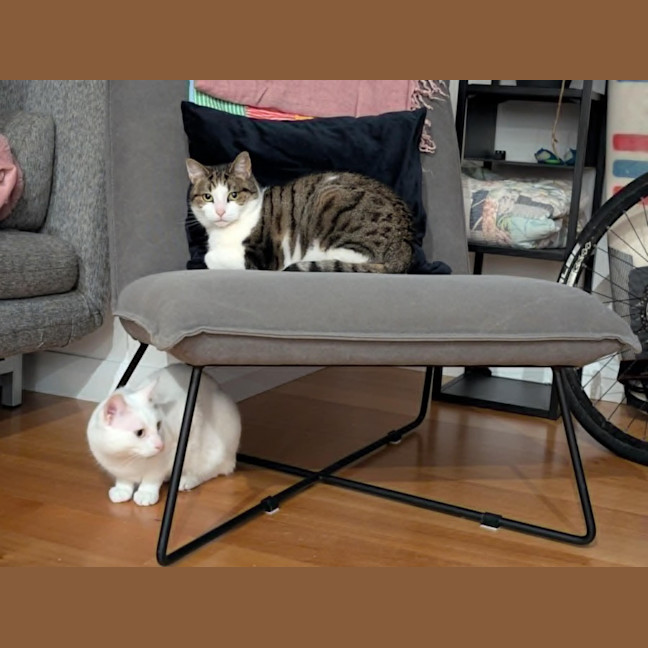 Photo of Ferdi 💙💙