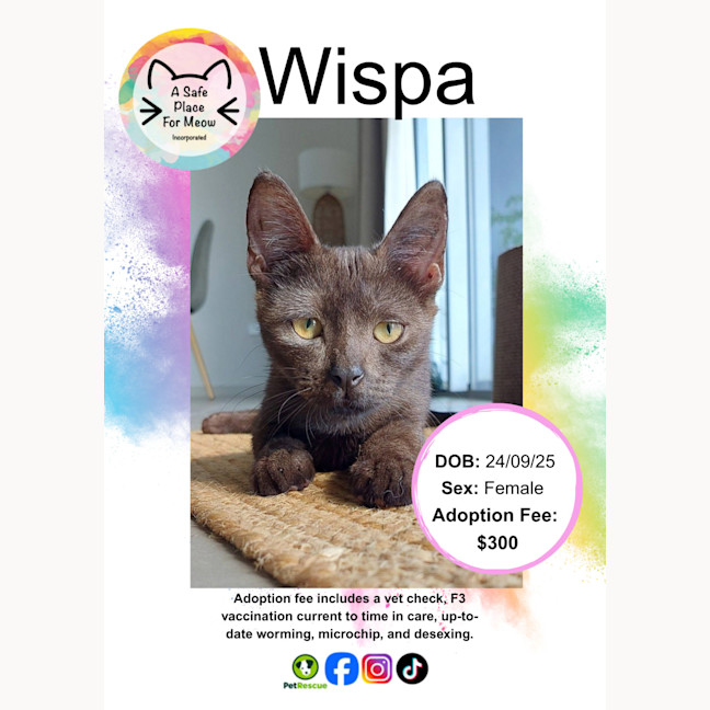Photo of Wispa