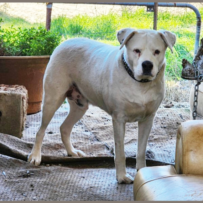 Photo of Tank