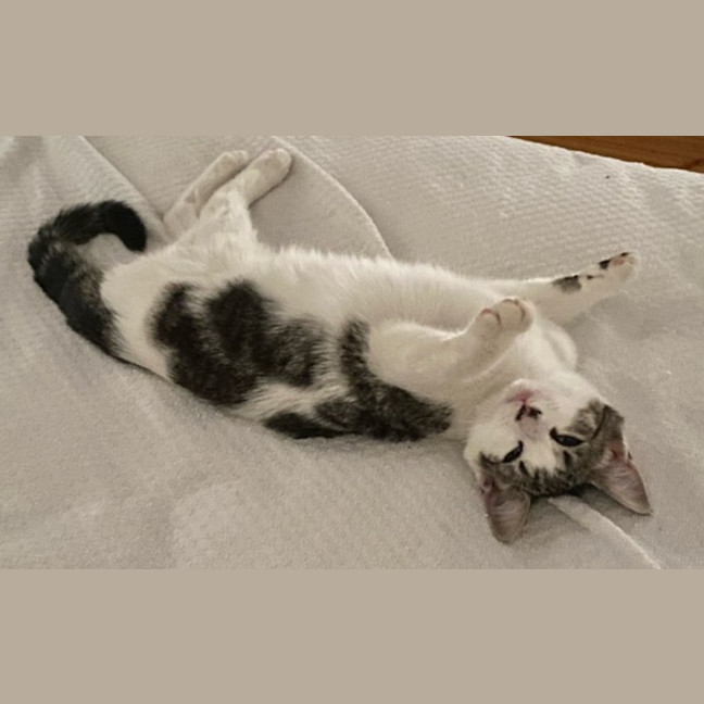 Photo of Lara