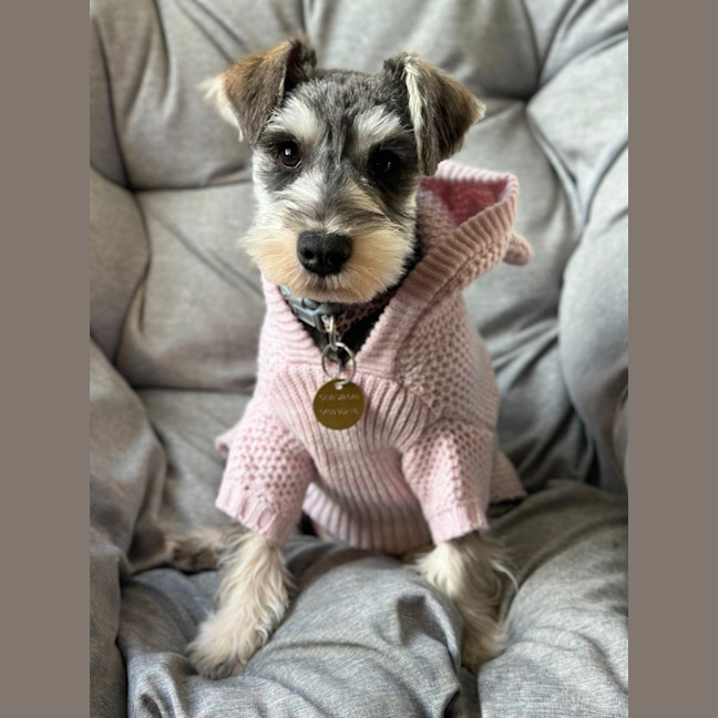 Photo of Hizzee