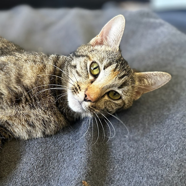 Photo of Freya