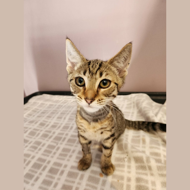 Photo of Andy   On Display @ Vets On Parker