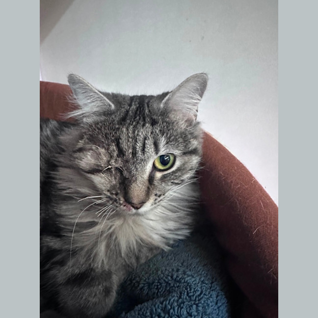 Photo of Moira 