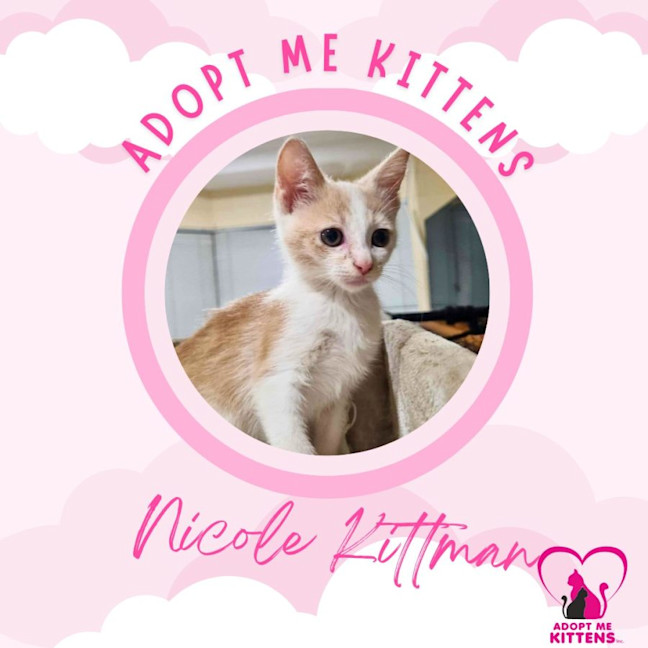 Photo of Nicole Kittman