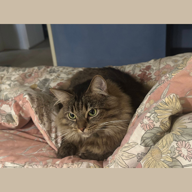 Photo of Meg