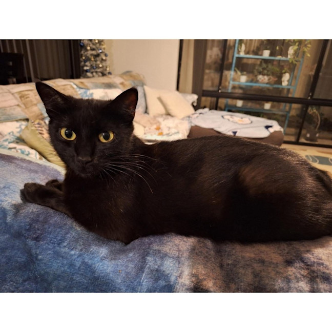 Photo of 12735   Coffee