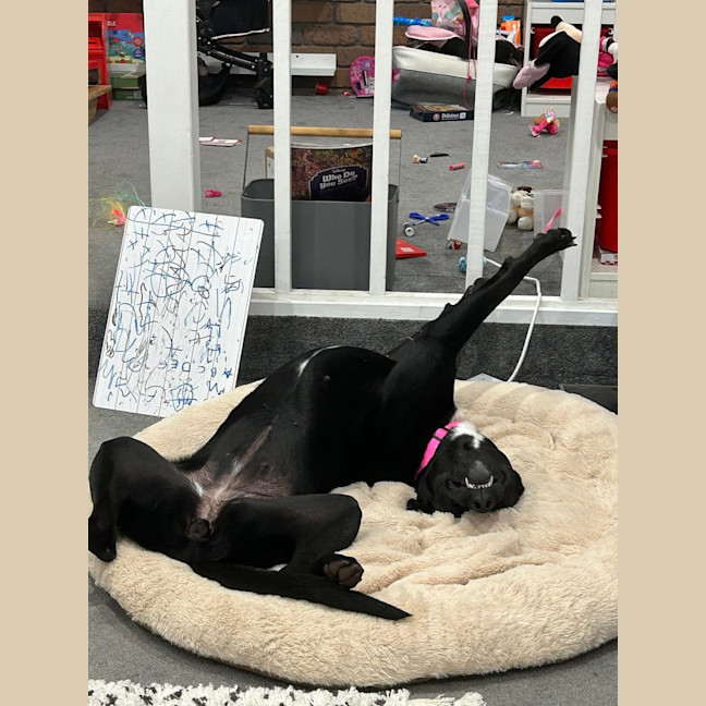 Photo of Good Golly Miss Molly