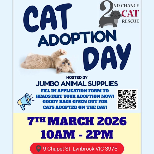 Photo of Opal **2nd Chance Cat Rescue**