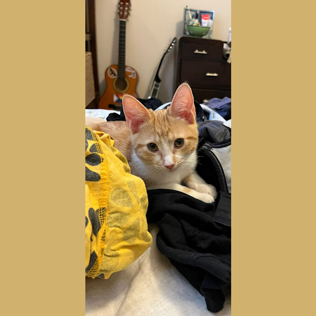 Photo of Roxy & Eggsy