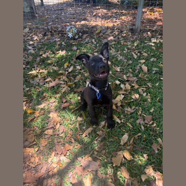 Photo of Bonnie