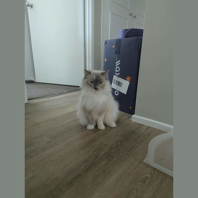 Photo of Betty