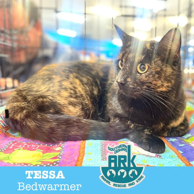 Photo of Tessa