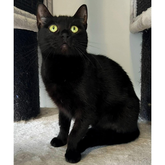 Photo of 1180   Zena