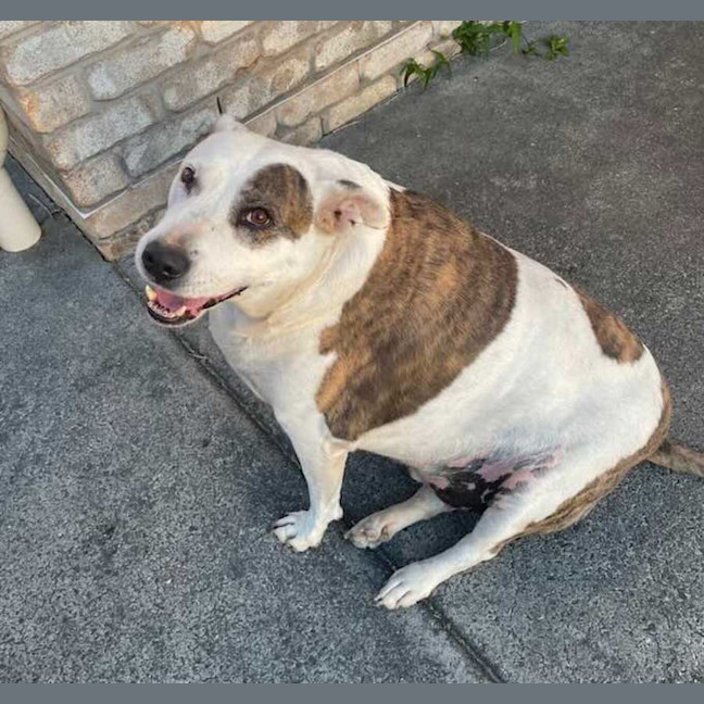 Photo of Leroy