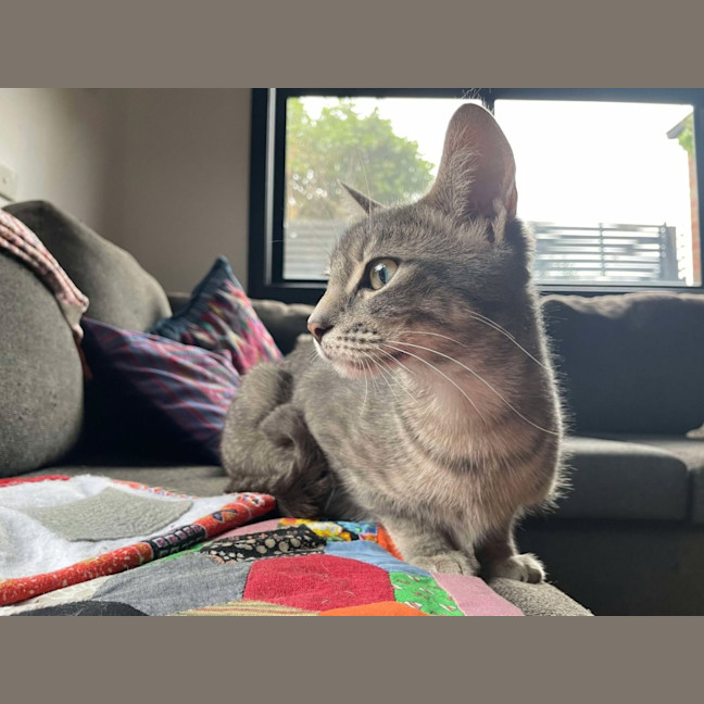 Photo of Aurora   Located In Bentleigh East