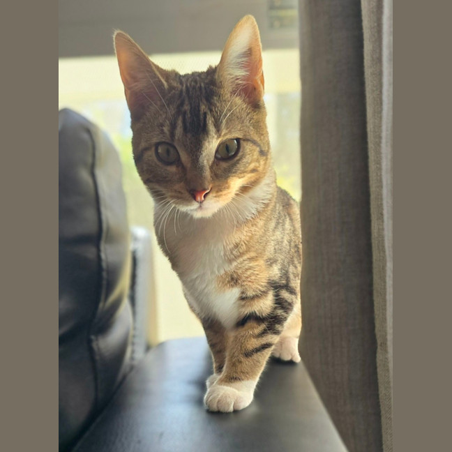 Photo of Pippi