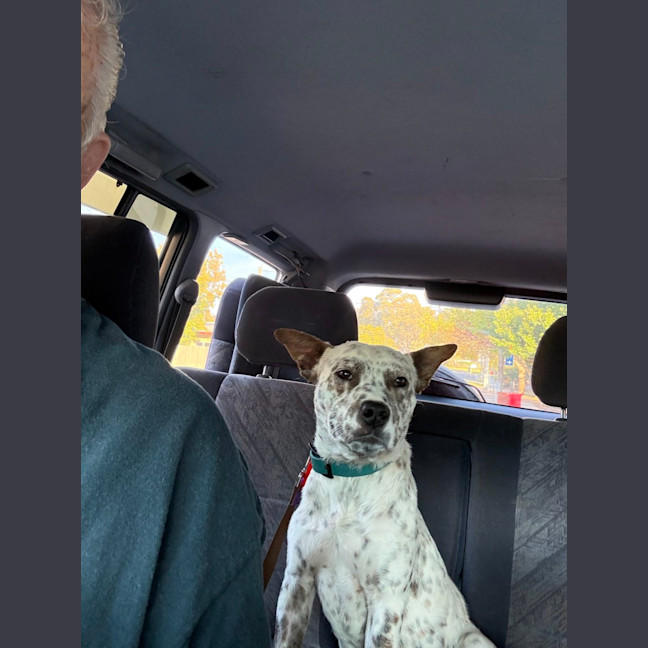 Photo of Andy
